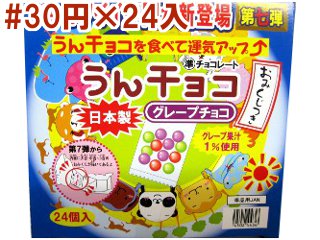 おみくじ付　うんチョコ