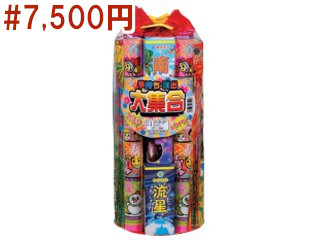 手持ち・噴出大集合Lサイズ